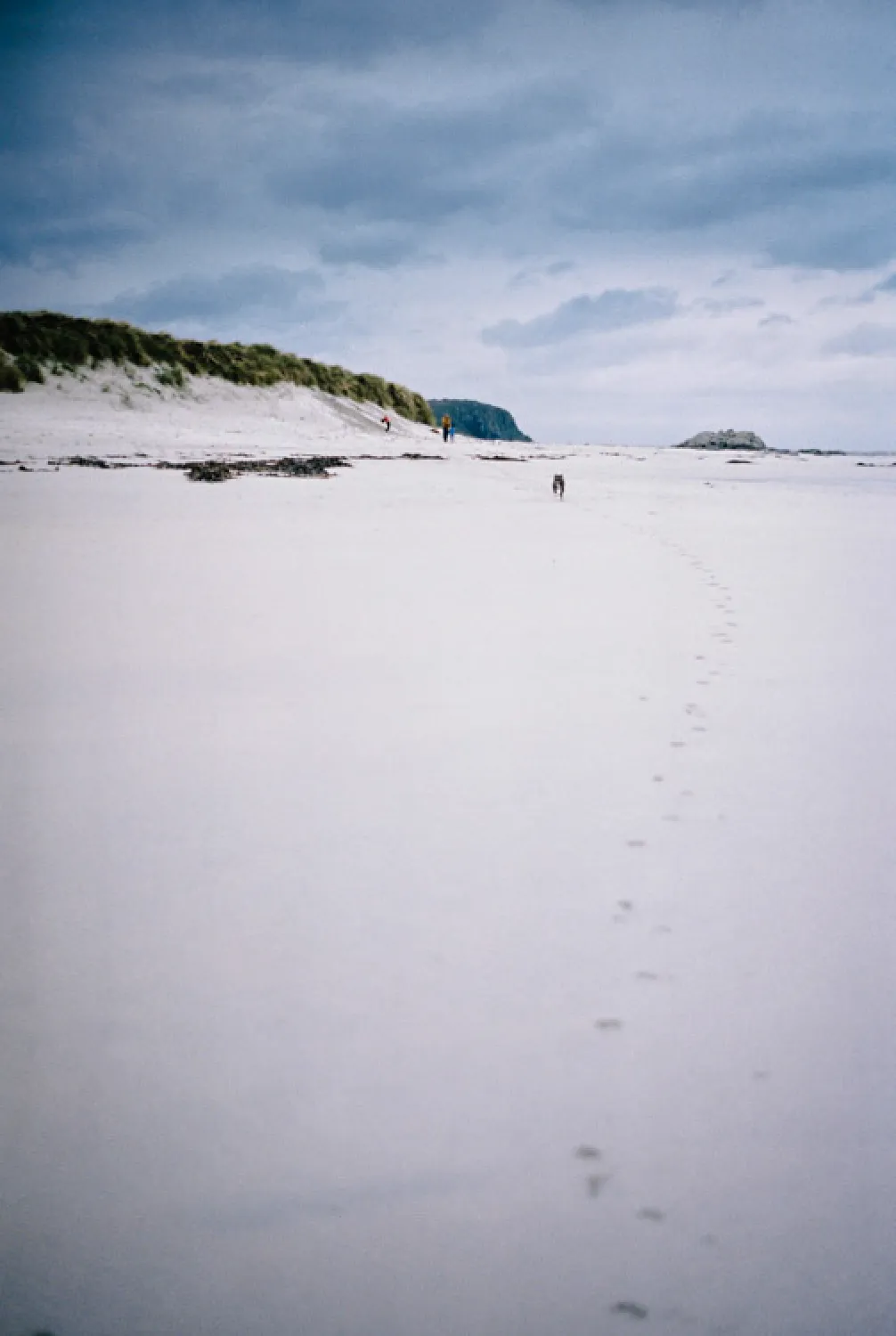 Footsteps leading across a wide, quiet beach