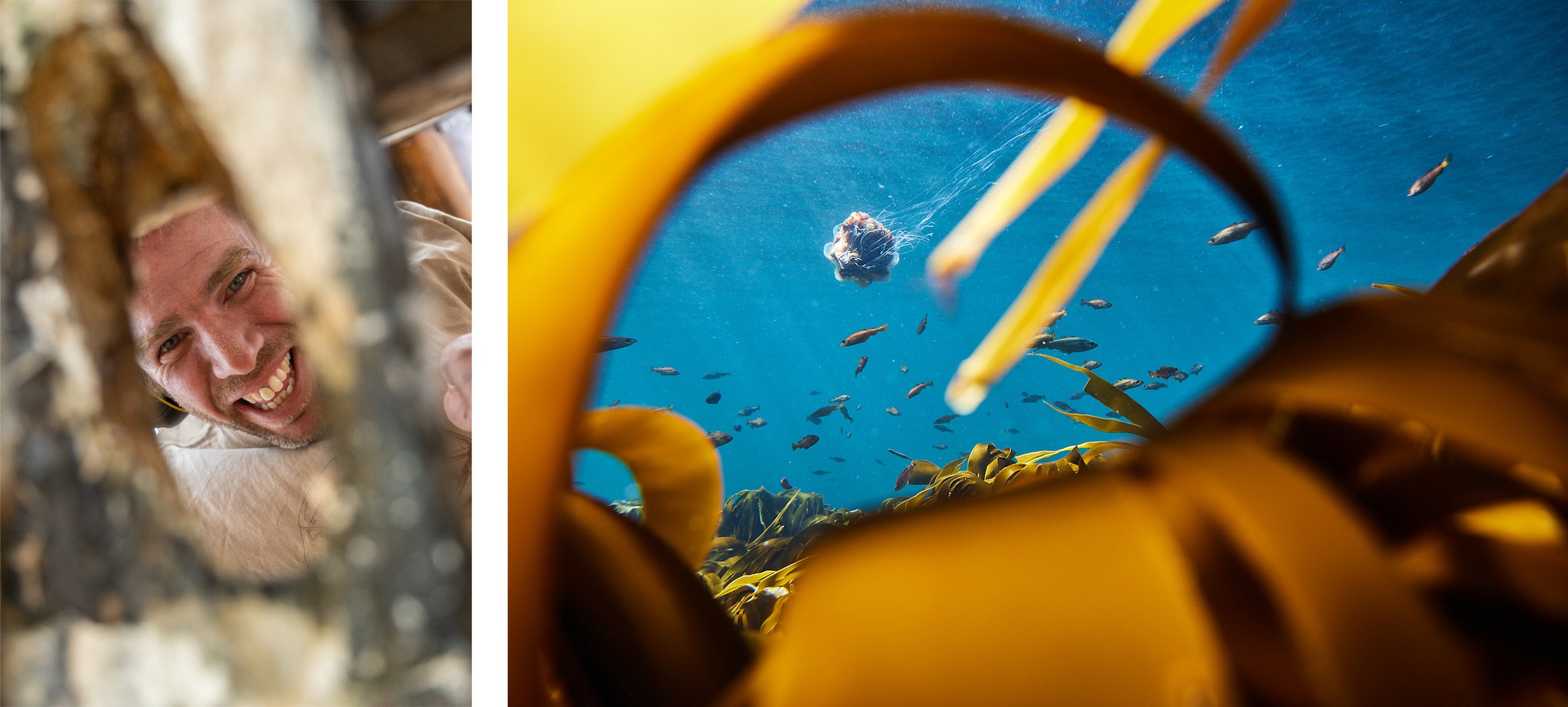   “Two wildly different examples of foreground framing - I spent a lot of last summer hiding in the kelp on the west coast of Scotland, looking for moments like this.”  
