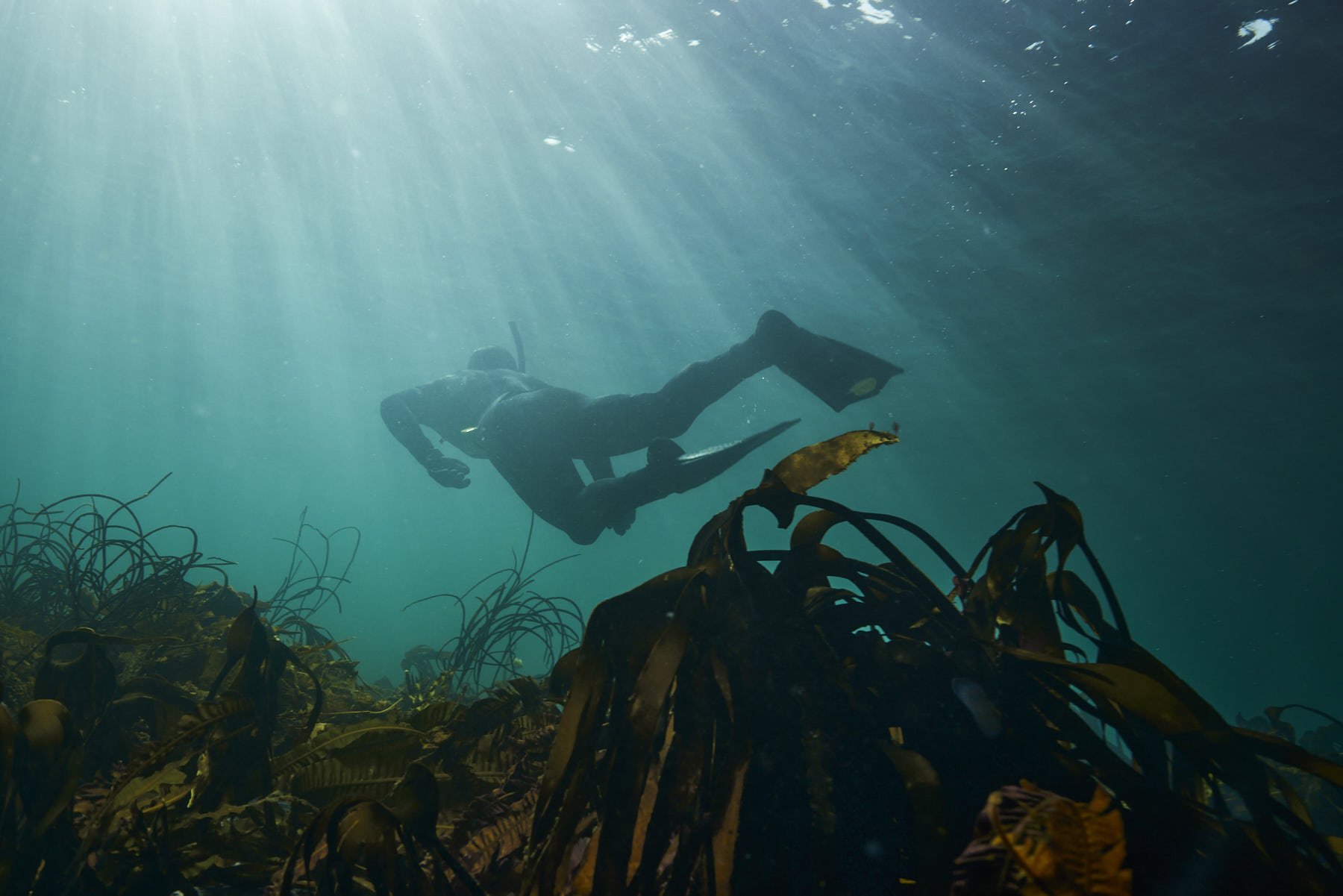   “Free diving with one of my favourite humans, Adam, on an overcast day, dipping under the surface. For a split second, the light comes out and illuminates Adam”  